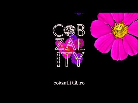 Cobzality - Paparudă Rudă (Florin-C. Romașcu L8 night mood Remix)