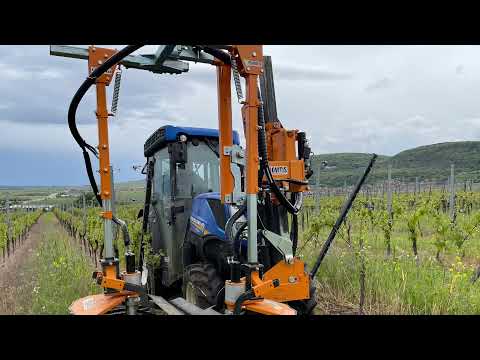 Epampreuse Provitis SRB 22