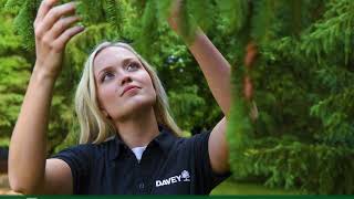  From Healthy Roots to Strong Canopies: What PHC Can Do for Your