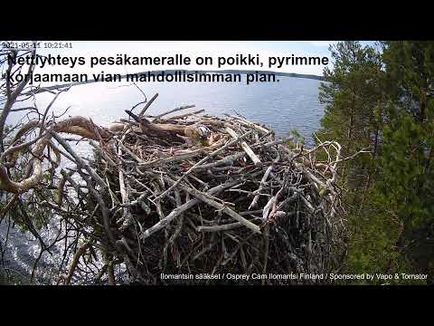 Видео Слайд