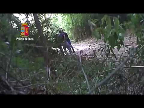 Squadra Mobile Pistoia: operazione White Wood