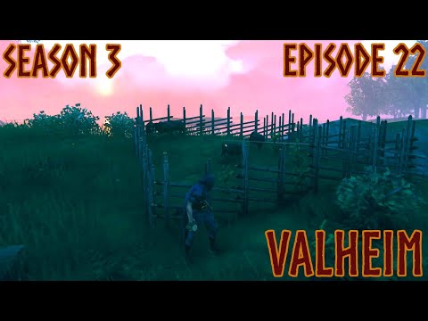 Valheim S3E22 - We got piggy's