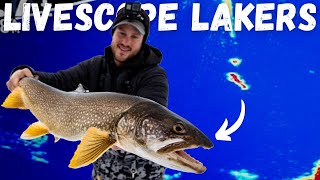 Ice Fishing Lake Trout with the LiveScope Plus (LVS34)
