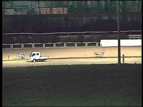 Trotto 22/03/2015 -  corsa Pony