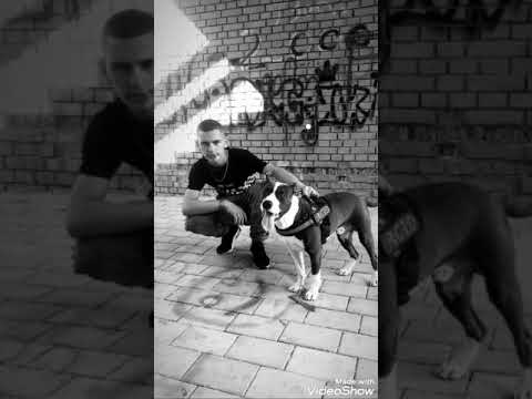 Malinjo- Dojnë mem kap