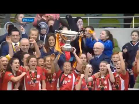 2016 FAI Cup final
