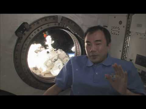 明日宇宙へ向かう:ISS でタコがやるべきことはこれだ