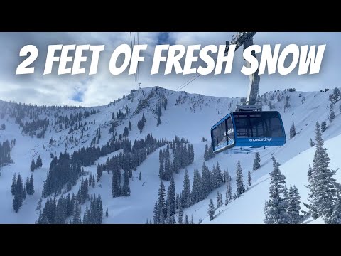 My first time skiing SNOWBIRD