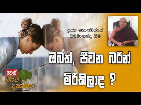 Darma Dakshina 2019.08.01 - Kolabisse Dhammananda Himi