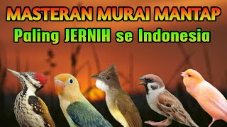 Download lagu MASTERAN MURAI BATU FULL ISIAN NEMBAK MATERI SUARA JERNIH DAPAT DIJADIKAN MASTERAN TROTOL mp3 Download lagu MASTERAN MURAI BATU FULL ISIAN NEMBAK MATERI SUARA JERNIH DAPAT DIJADIKAN MASTERAN TROTOL mp3