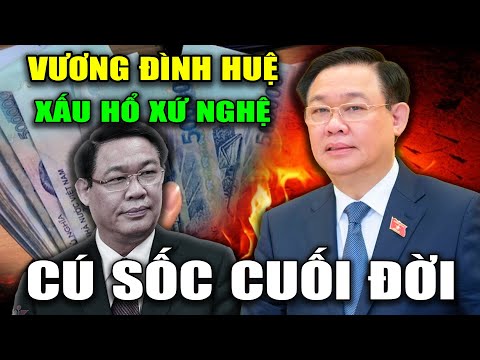 Sáng tỏ Vương Đình Huệ Từ Chức - Quá Xấu Hổ !!!