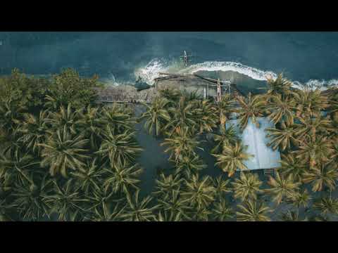 FSOL - Papua New Guinea (Richie Blacker Remix)