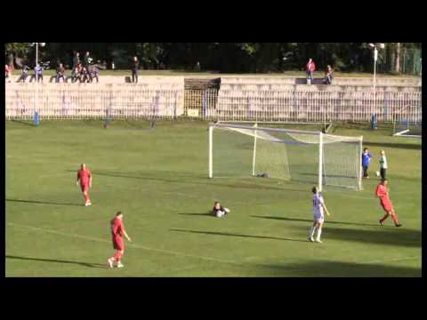 Warta - Stilon skrót