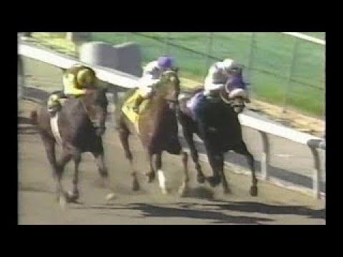 1994 Goodwood Handicap vesves Ancient Title : ESPN Broadcast