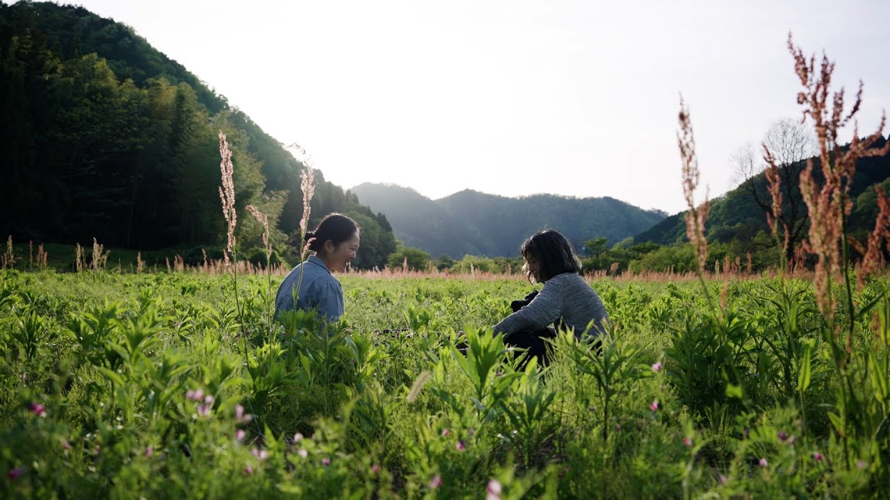 Sigma C 12mm f/1.4 DC (Canon RF)