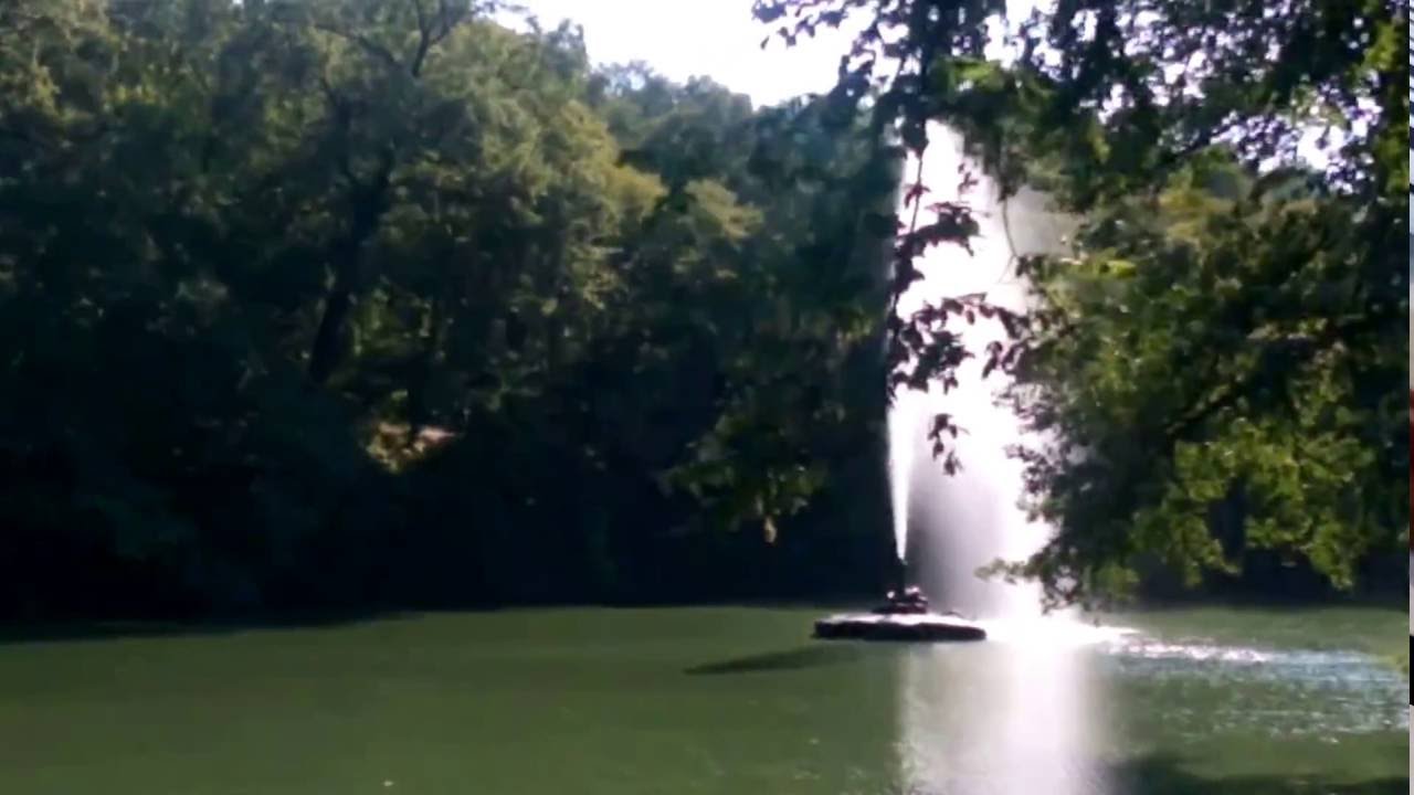 Полезное видео