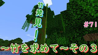 移動数およそ数万ブロック！ついに竹を発見！！【マインクラフト】
