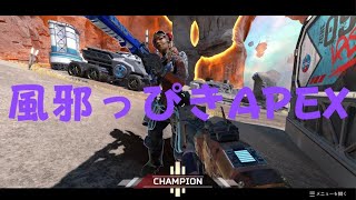 [APEX:ゴールド]あーちゃんとチャンピオン[SAYER SUN]