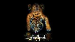 leaving the lights - K-391