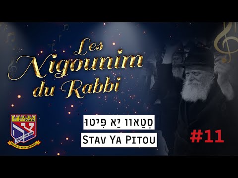 Nigoun #11 • Stav Ya Pitou