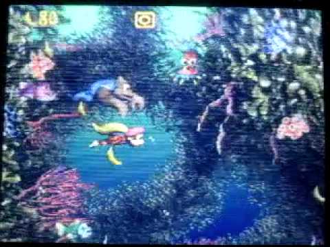 DKC3 speedrun - Fish food frenzy