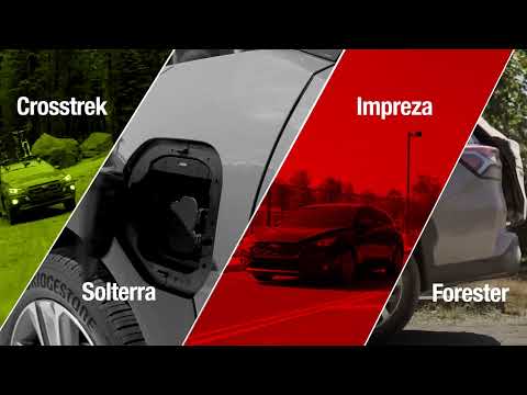 Herb Gordon Subaru 2024