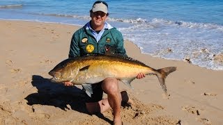 Fish Eagle - Sambo off Preston Beach, July 2013