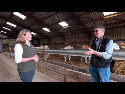Cluny Farm: Finishing Cattle