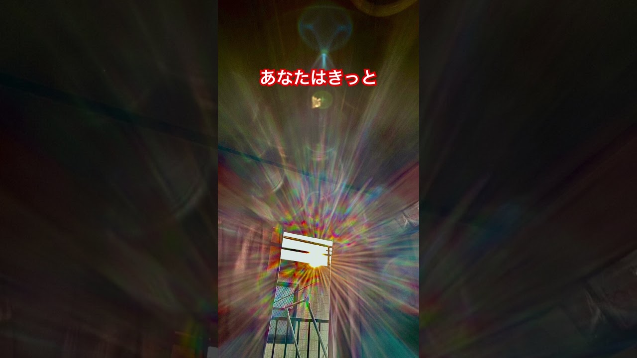 【新着】ただ感じるだけでいい💖#shorts