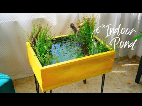 DIY Easy Mini Indoor Pond For Tiny Fishes