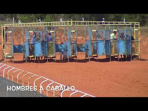 La Jarocha vs  El Niño de Oro  12 3 17