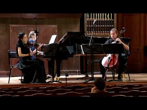 A. Dvořák Piano trio no 2 op. 26, 1 part