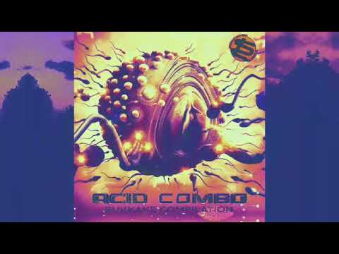 Acid Combo - When You Don't Listen to This Track, You Hate Your Mom
