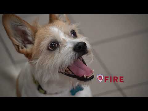 Holiday Cooking Safety!