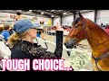 WE BOUGHT AN AUCTION HORSE But Which One