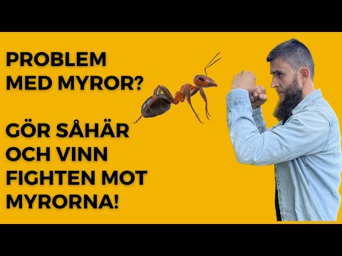 Bli av med myror i trädgården!
