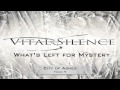 City of Ashes - Vital Silence 