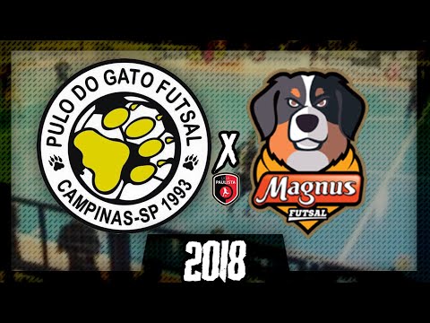LPF 2018 -  PULO DO GATO X MAGNUS FUTSAL