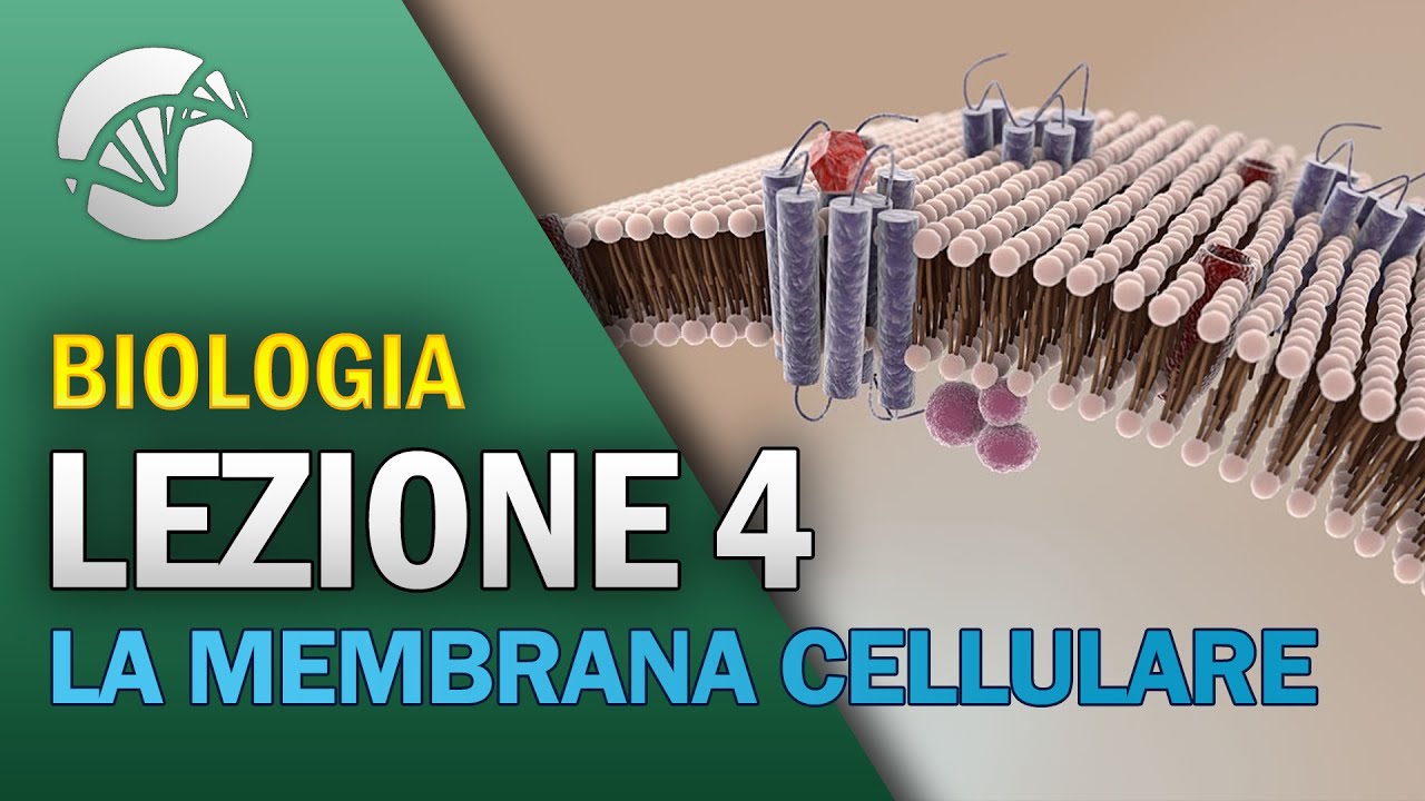 BIOLOGIA - Lezione 4 - La Membrana Cellulare