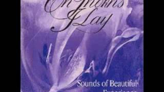 01 Voluptuous Simplicity Of The Line.WMV