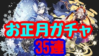お正月ガチャ！リーチェ求めて35連【パズドラ】