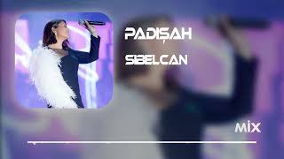 Bu Devirde Kimse Sultan Değil - Sibel Can ( MAHİR SERHAT ERDOĞAN  Remix )  Yayında ♥