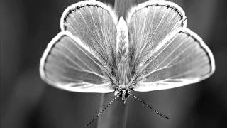 Blackfield   Cloudy Now