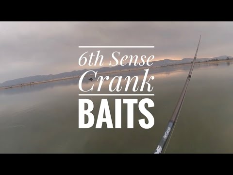 Crank Baits (6th Sense Baits)