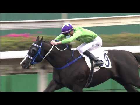 10/1/2021 (328) Supreme Patrol - B Shinn