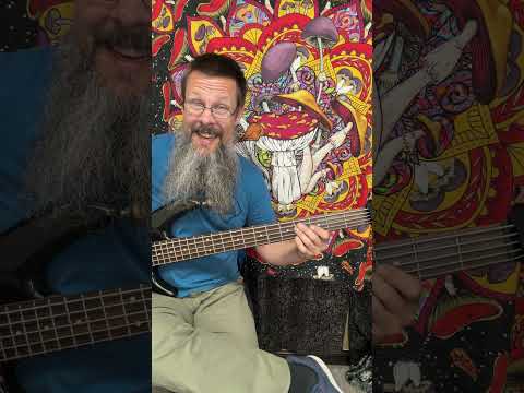 Camarillo Brillo - Frank Zappa