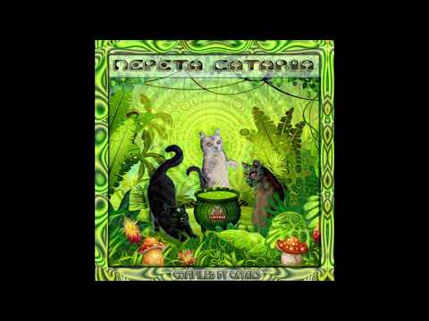 04. Isometric & Insane Creatures - Katzenminze