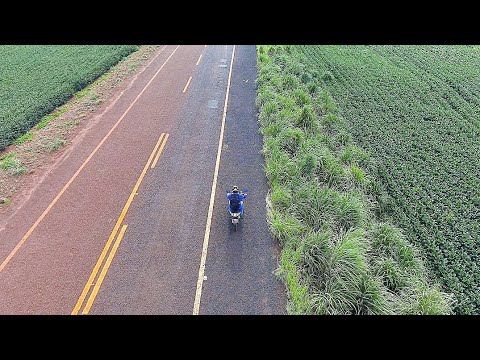 CONHEÇA GOIABA - UMA COMUNIDADE NA ZONA RURAL DE RIO VERDE GO 