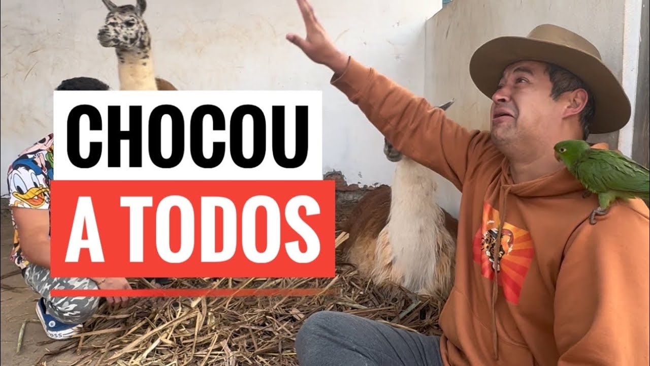 NINGUÉM ESPERAVA POR ESSA. OLHA O QUE ACONTECEU NO SÍTIO .