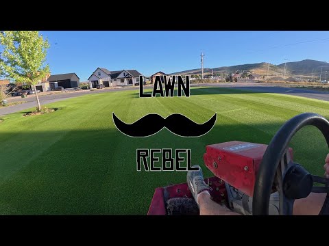 MY LEG IS BROKEN. Here is the story